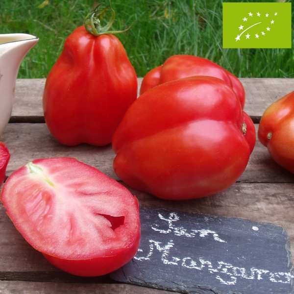 Tomate 2 Tomate 2