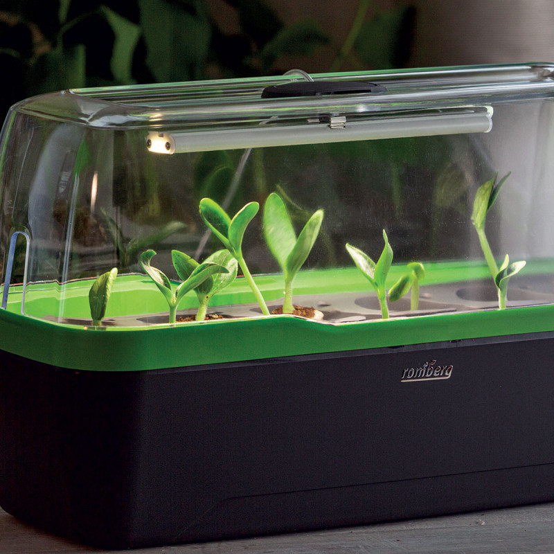 Ampoule horticole LED GU10 - Idéale pour plantes vertes, bonsaïs