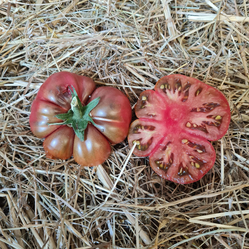 Tomate Noire De Crimee Sélection Yalta