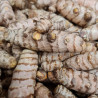 Curcuma bio