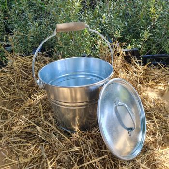Seau à compost 5 L galvanisé avec couvercle + poignée en bois