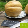Plant de Melon Vieille France Bio