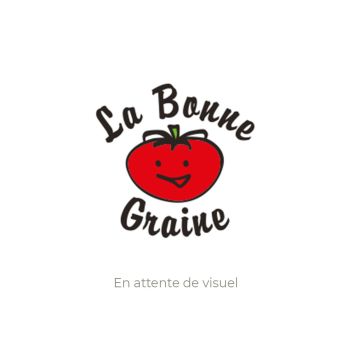 Plant de mûre Black Satin (godet de 9 cm)