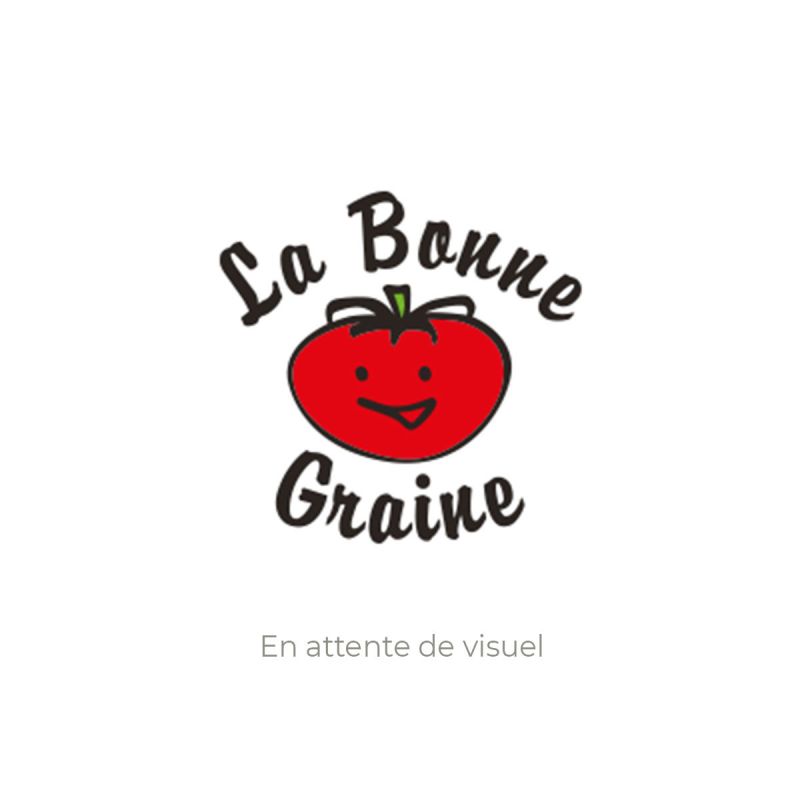 Plant de mûre Black Satin (godet de 9 cm) Plant de mûre Black Satin (godet de 9 cm)