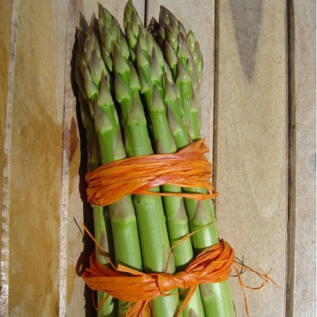 Asperge Verte Lima