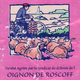 Oignon rosé de Roscoff