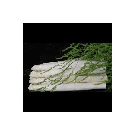 Asperge Grolim