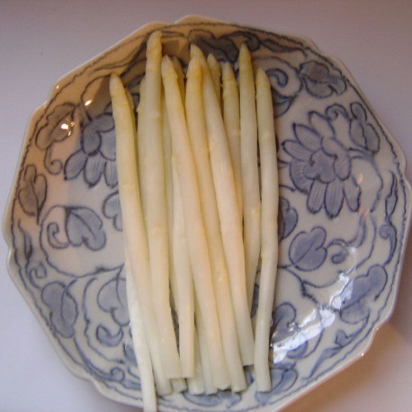 Asperge Prima