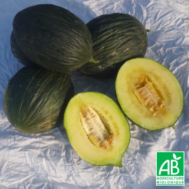 Melon Canari d'Espagne (environ 1 kg)