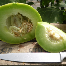 Melon Boule d'Or Bio