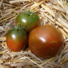 Tomate Noire Russe Charbonneuse Bio