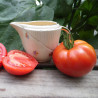 Tomate Saint Pierre