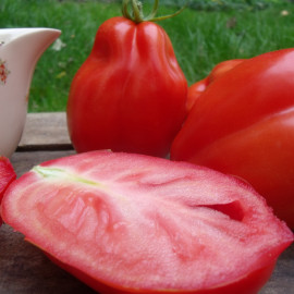 Tomate San Marzano 2 Bio