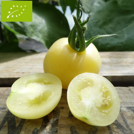 Tomate Pêche jaune Bio