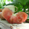 Tomate Purple Calabash Bio