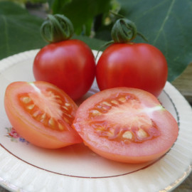 Tomate Cerisette Brin de Muguet Bio