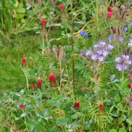 Box Potagère spéciale semis de Octobre, idée cadeau pour jardinier