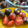 Tomate INDIGO™ Cherry Drops