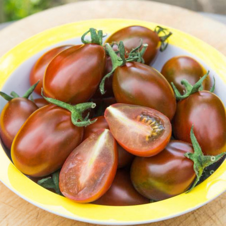 Tomate Poire Chocolat