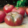 Tomate Cherokee Purple