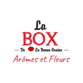 Une box pour le plaisir des sens contenant des plantes aromatiques et esthétiques