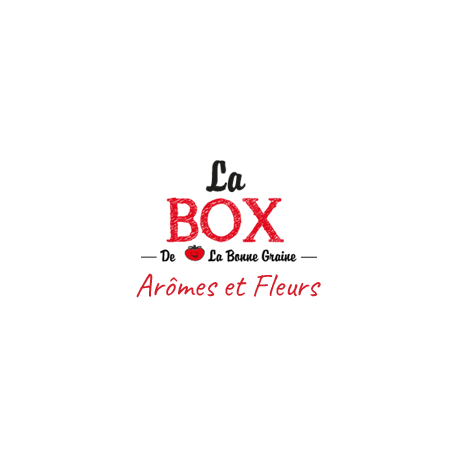 Box - Arômes et Fleurs