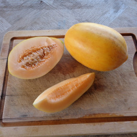 Melon Tamari F1