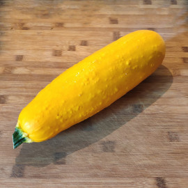 Courgette Butterstick F1