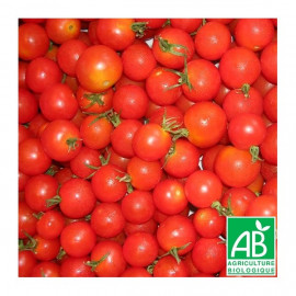 Tomate Cerise rouge Bio