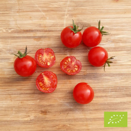 Tomate Zuckertraube Bio