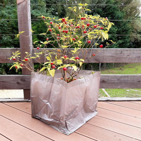 Sac de balcon potager