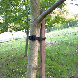 Collier PVC spécial arbres