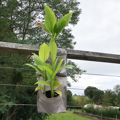 Sac de balcon petites plantations