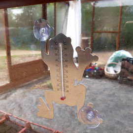 Thermomètre extérieur grenouille