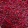 Haricot rouge à écosser Augusta - nain