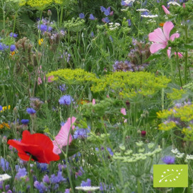 Fleurs Abeilles et Cie Bio