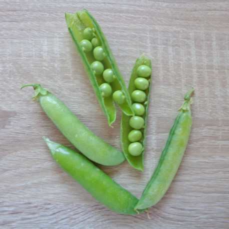 Graines potagères (semences) de pois