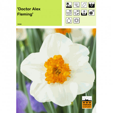 Narcisse Doctor Alex Fleming