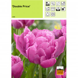 Tulipe Double Price