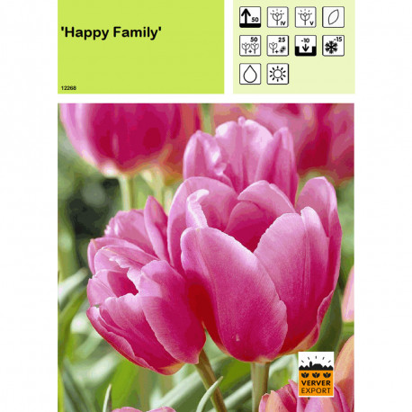 Tulipe Happy Family