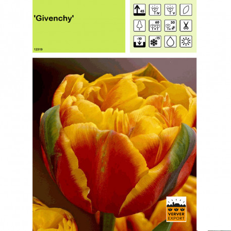 Tulipe Givenchy