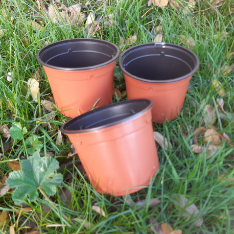 3 pots de rempotage (diam 13cm)