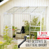 Serre de jardin MÉLISSA adossée 3,30 m² en verre trempé aluminium naturel