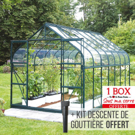 Serre de jardin en verre trempé ALOÉ 11,30 m² - Aluminium laqué vert