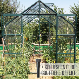 Serre de jardin en verre trempé ALOÉ 8,10 m² - Aluminium laqué vert