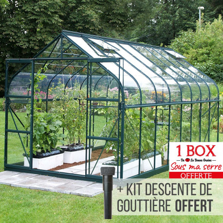 Serre de jardin en verre trempé ALOÉ 12,90 m² - Aluminium laqué vert