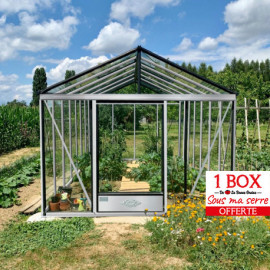 Serre de jardin en verre trempé LUXIA 14,10 m² - Aluminium naturel