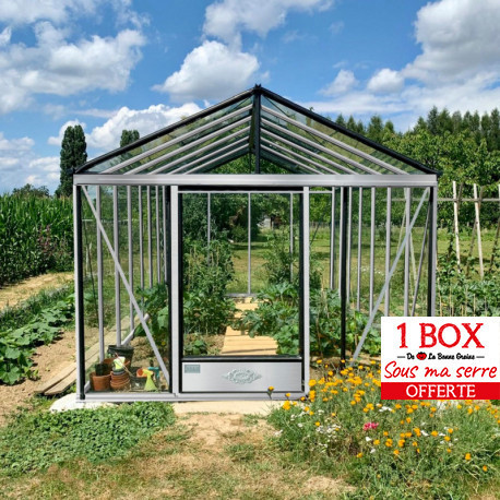 Serre de jardin 2,4 m² en polycarbonate et aluminium