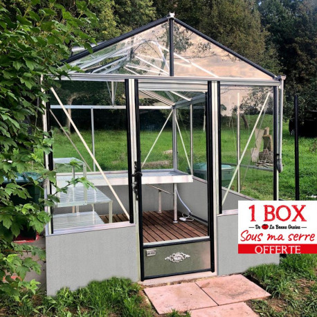 Serre de jardin en verre trempé LUXIA 5,60 m² - Aluminium naturel