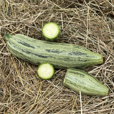 Courgette Strike F1